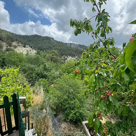 Σπίτι διακοπών Maria S Paliomylos House *