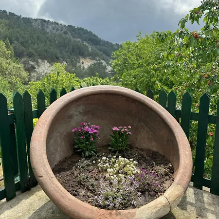 Maria S Paliomylos House *